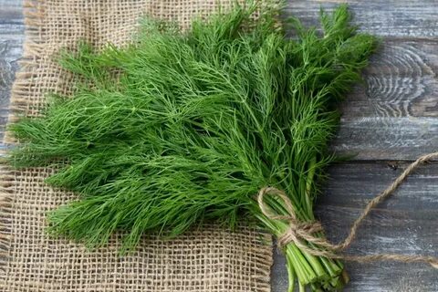 خرید اقتصادی سبزی شوید خشک صادراتی + فروش تضمینی